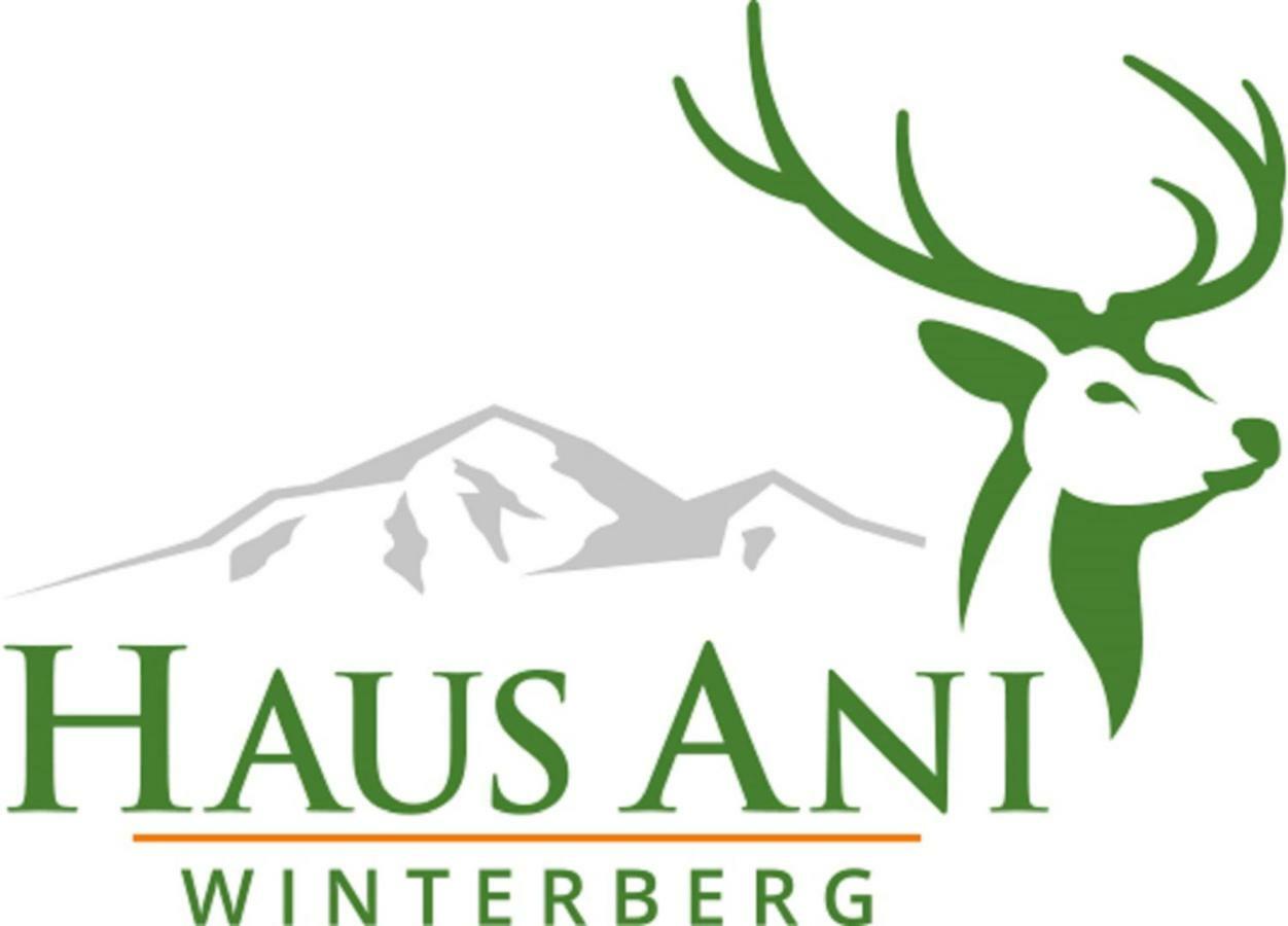 Haus Ani Winterberg Villa Exterior foto