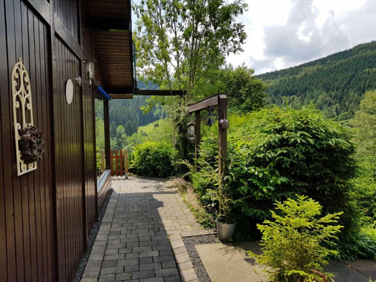 Haus Ani Winterberg Villa Exterior foto